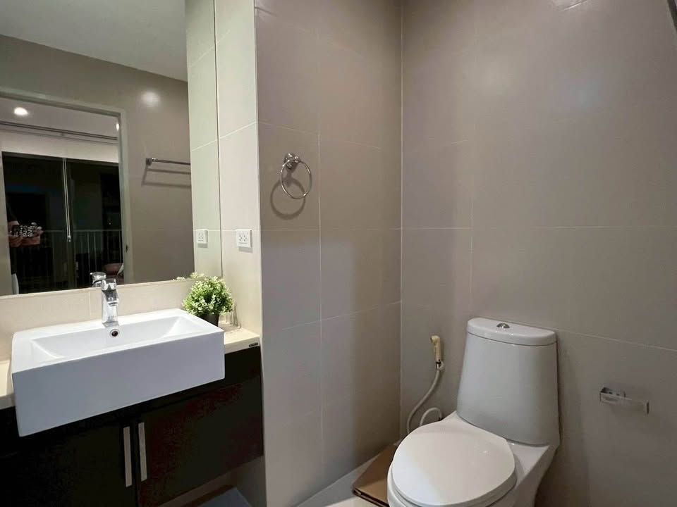 Noble Solo - Image 14