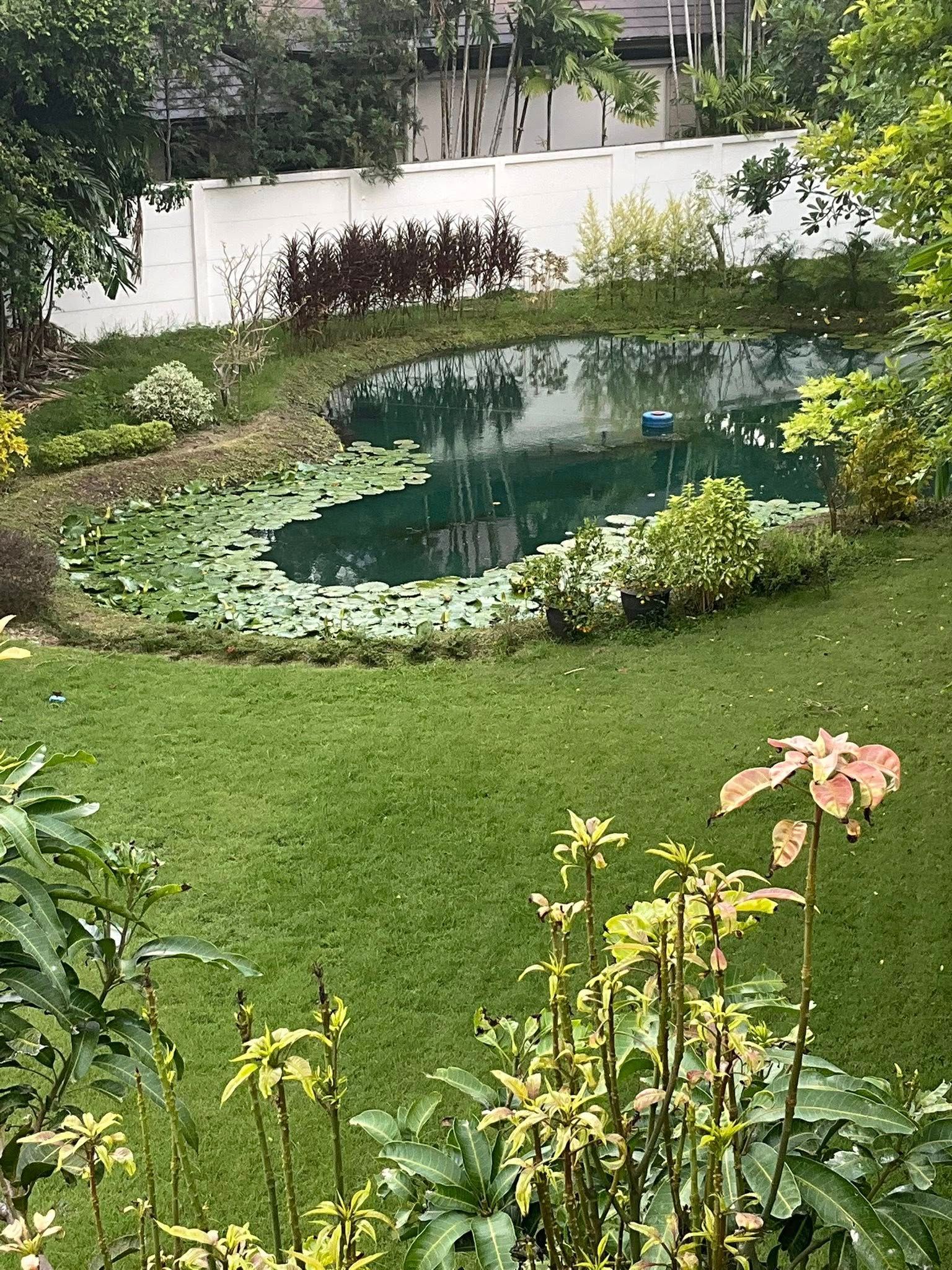 7 卧室 独立房屋 出租 在  - Image 41