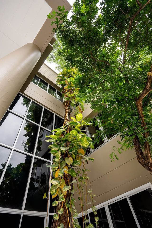 5 ห้องนอน บ้านเดี่ยว สำหรับขาย ใน จตุจักร, จตุจักร, กรุงเทพมหานคร - Image 13