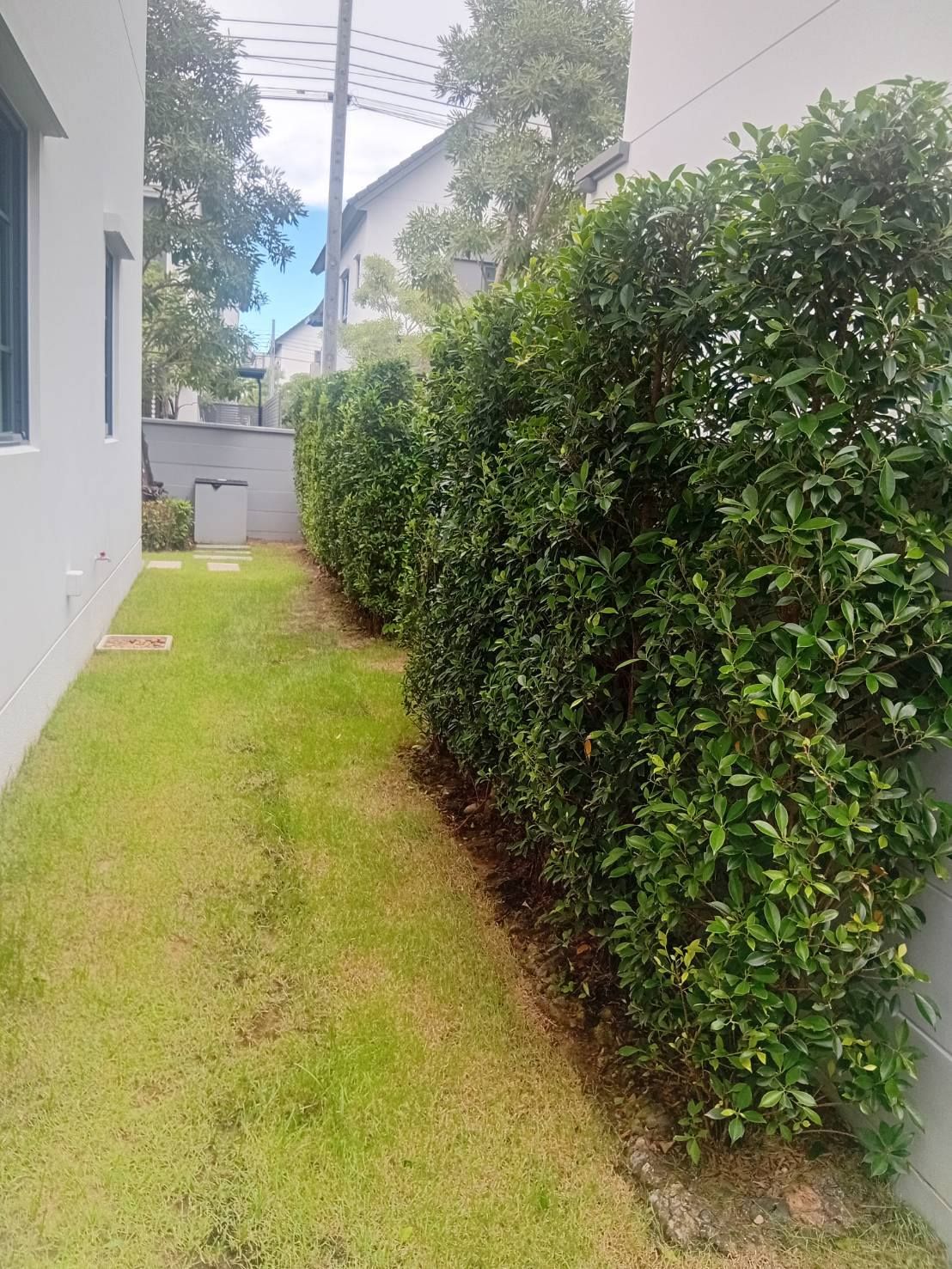 Centro Bangna - Image 6