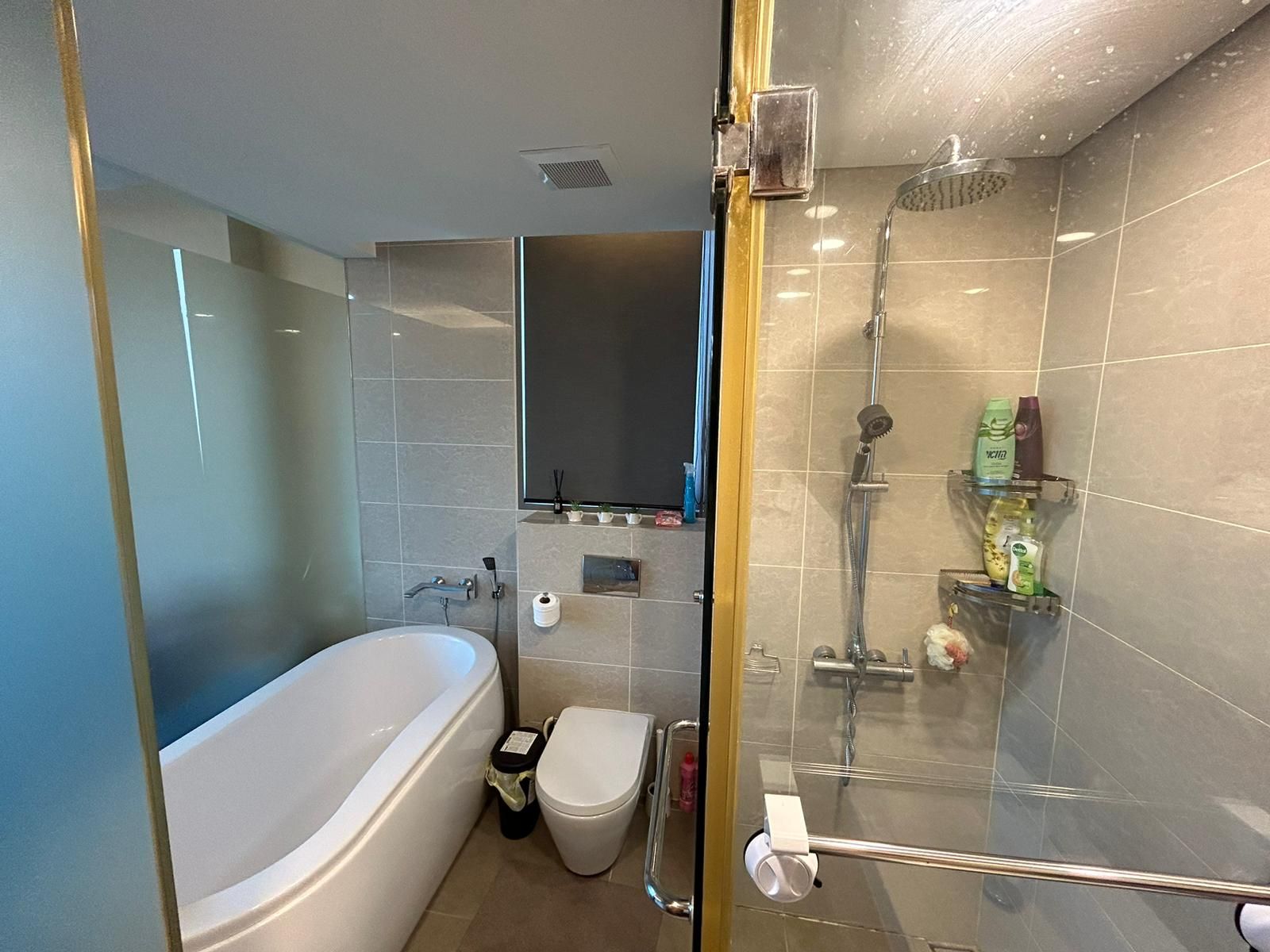 Siamese Thirty Nine - Image 18