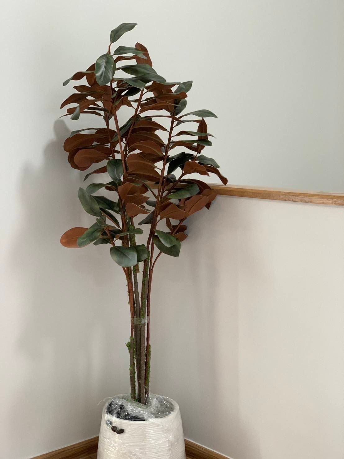 uploads/3efcf3ff-14c0-49cd-a97d-c18a86e0c28f/cbccba25-912e-4752-9f51-844341b08059