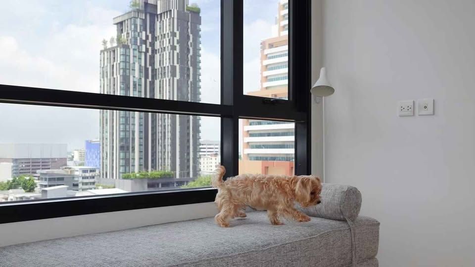 MARU Ekkamai 2 - Image 6