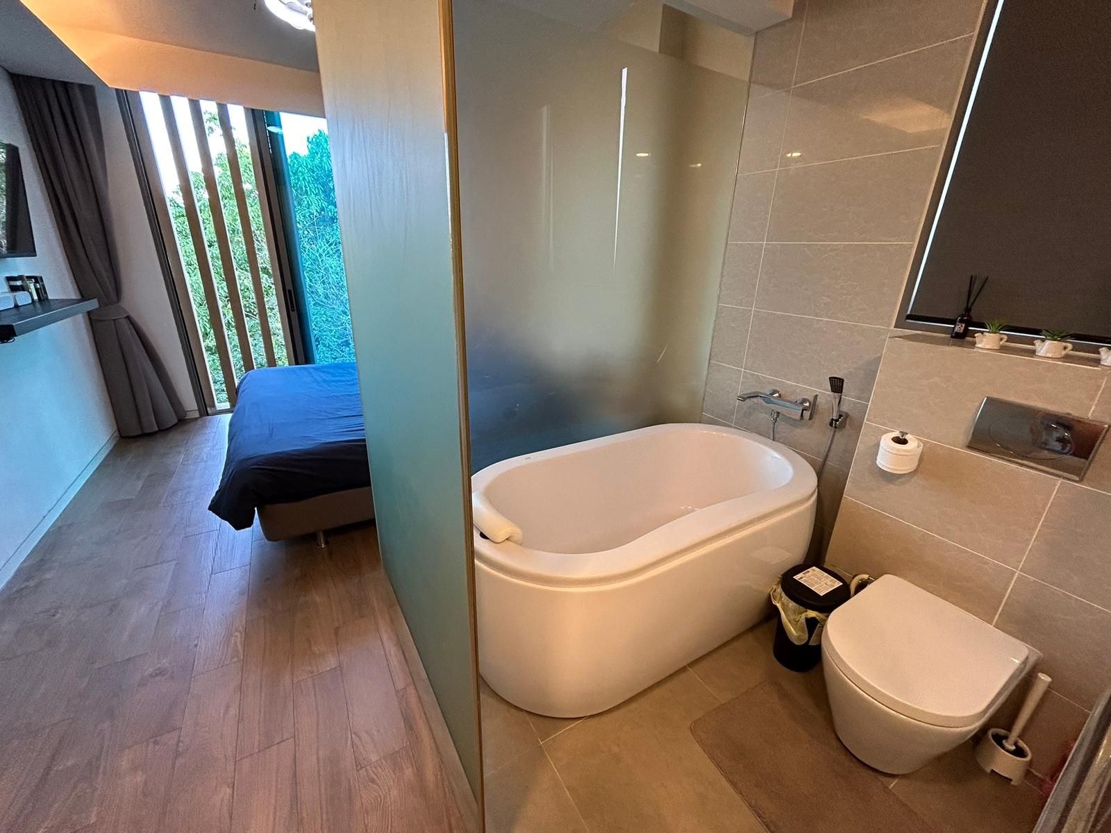 Siamese Thirty Nine - Image 16