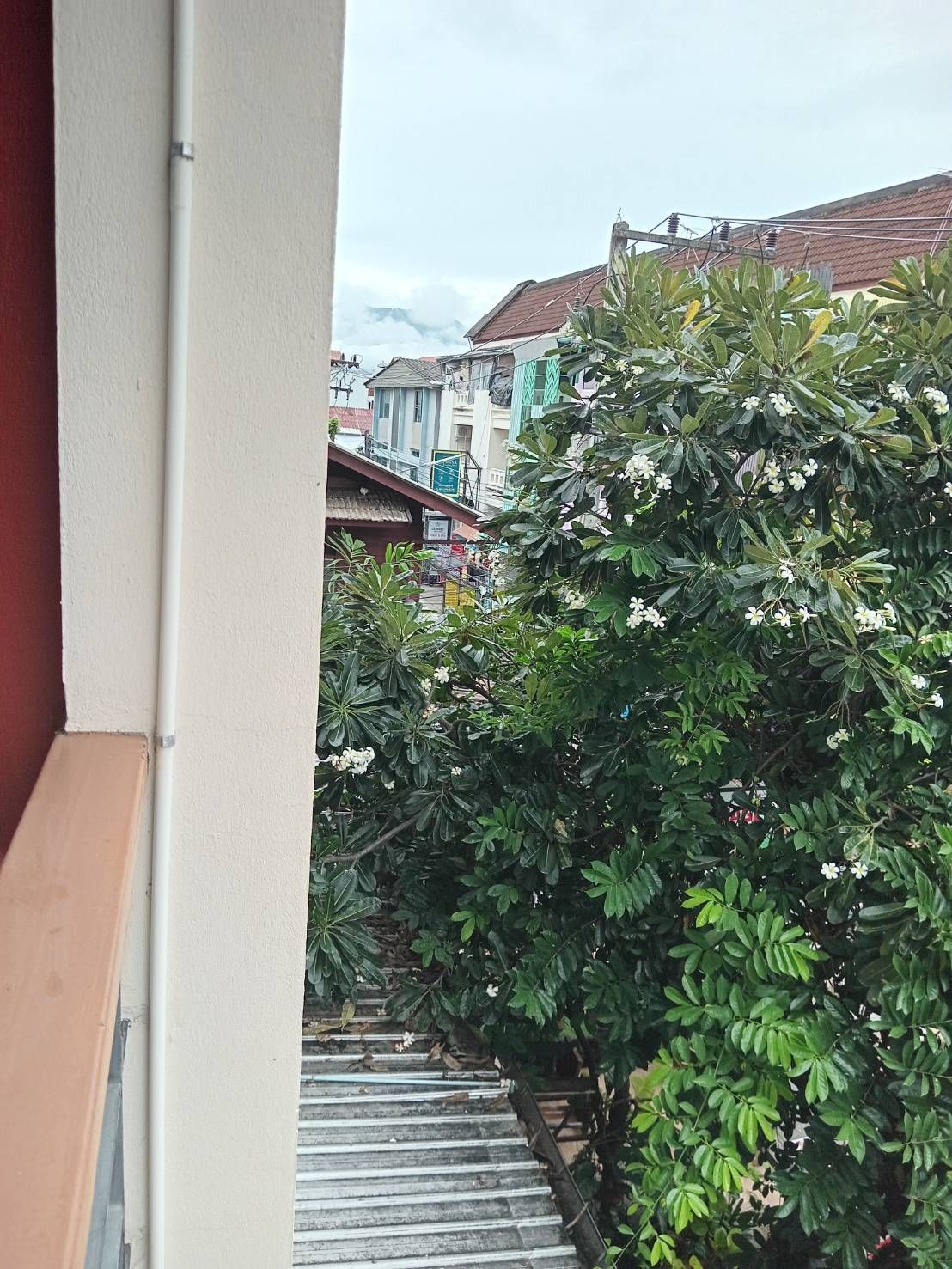 uploads/6fcc1896-9402-4de0-8b07-edfd277d3373/0c705157-c369-42bb-91d2-ed65e2103c38