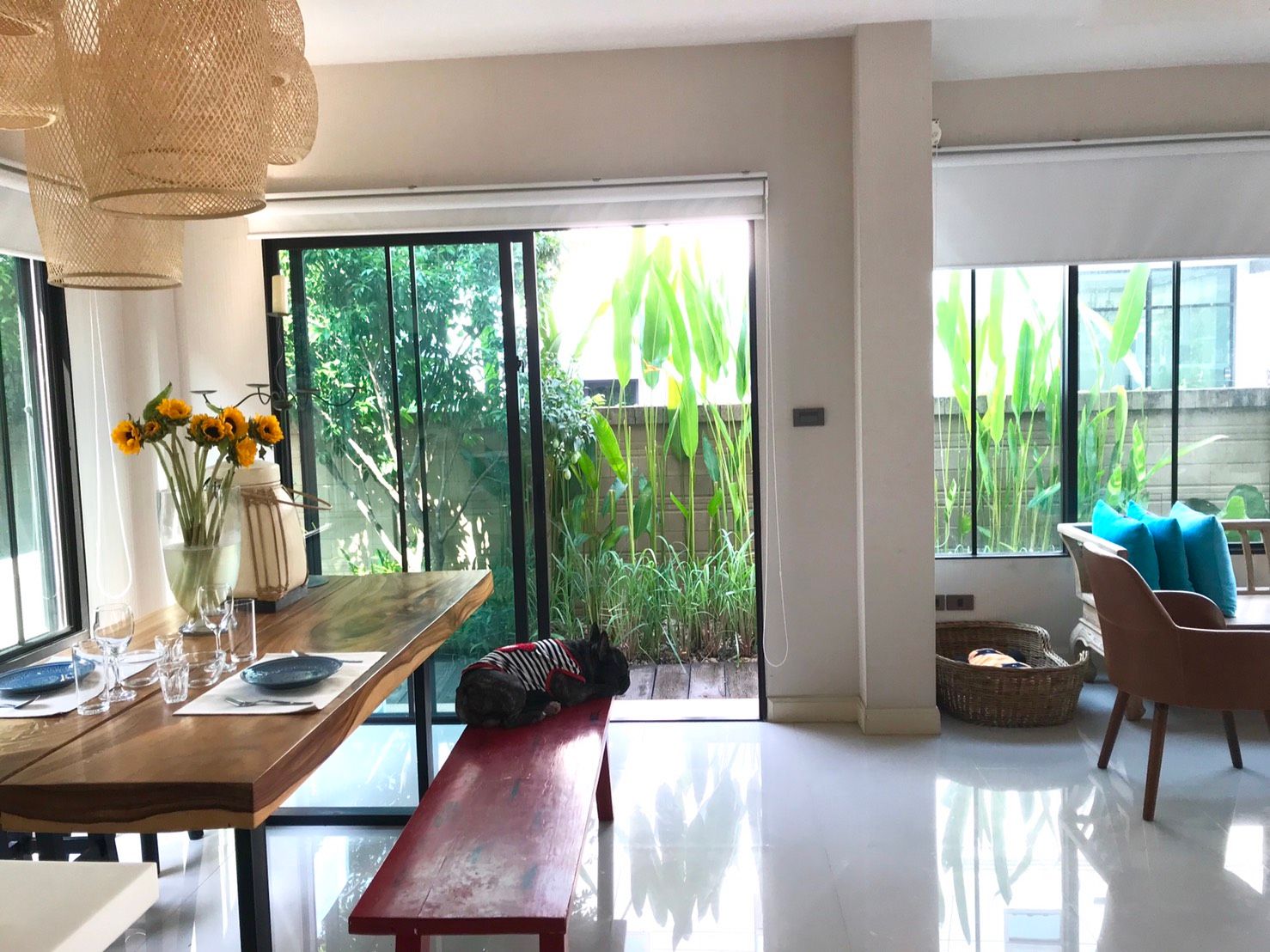 uploads/6fcc1896-9402-4de0-8b07-edfd277d3373/10e7ca2c-80a8-4c01-88a8-02e079f250b5