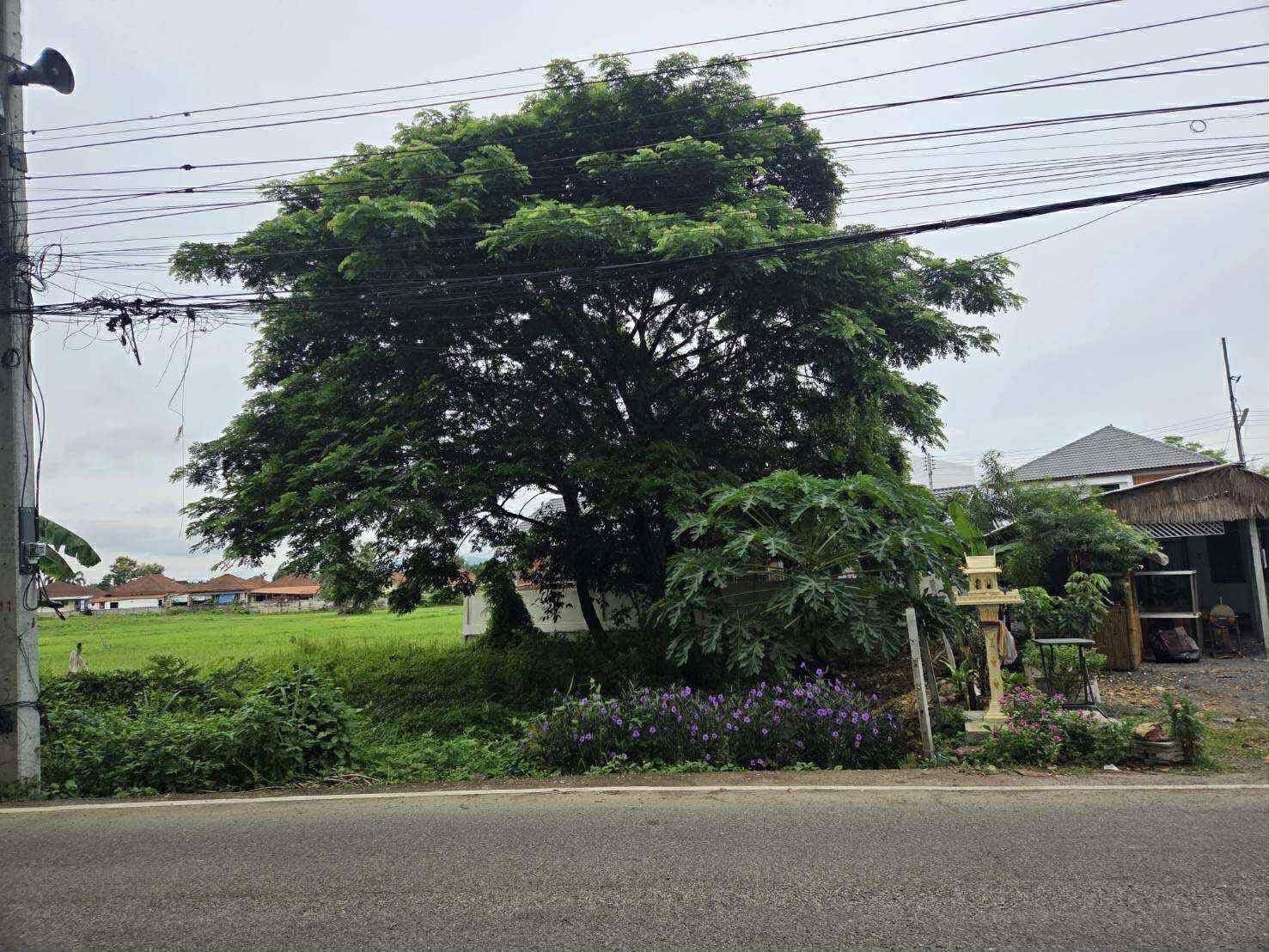 uploads/6fcc1896-9402-4de0-8b07-edfd277d3373/18c5e0c7-c2dd-4bf5-8a45-4babbd3a5079