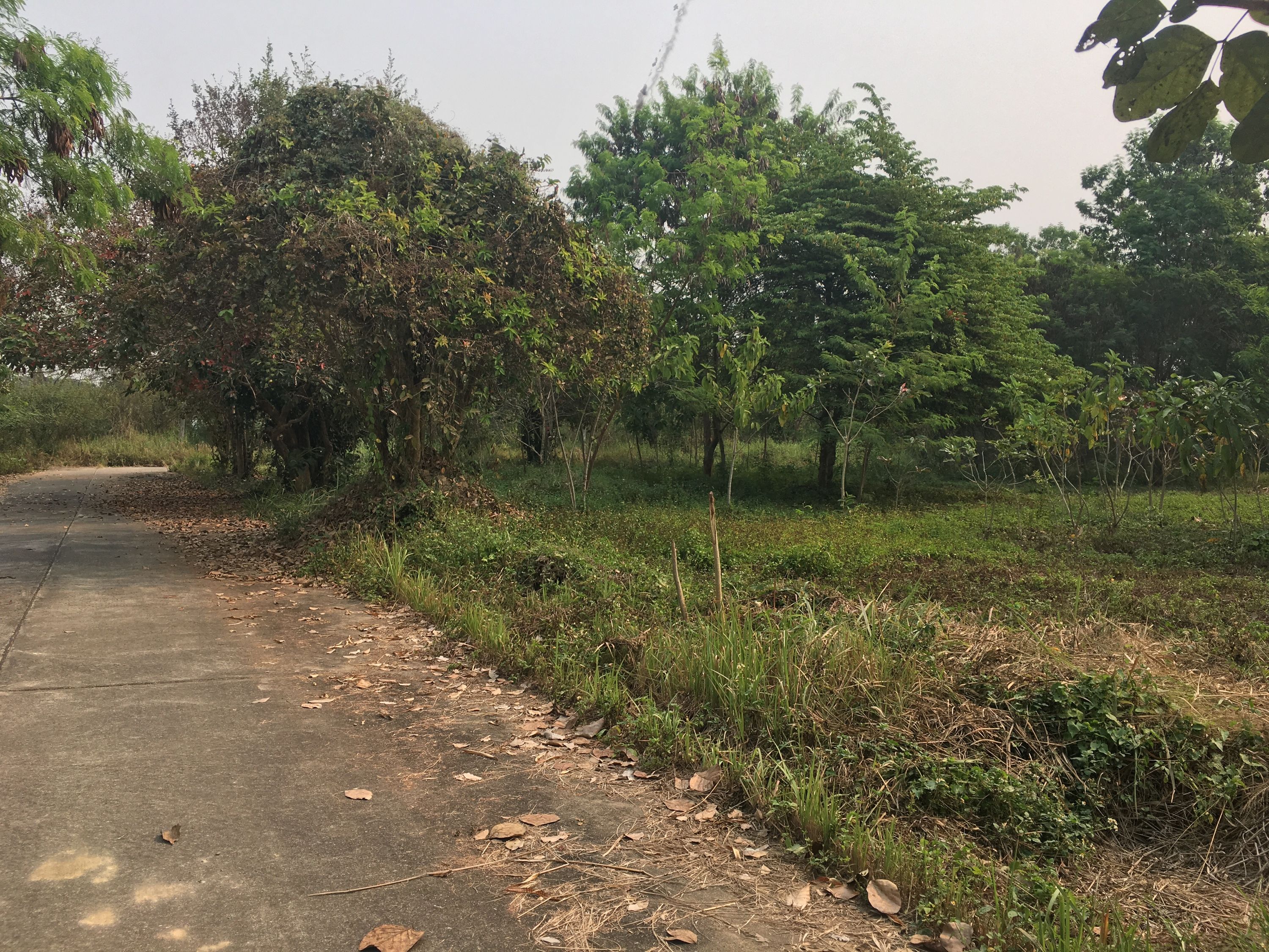 uploads/6fcc1896-9402-4de0-8b07-edfd277d3373/2d0d2fb7-ed27-4701-a95a-7b576f566c96