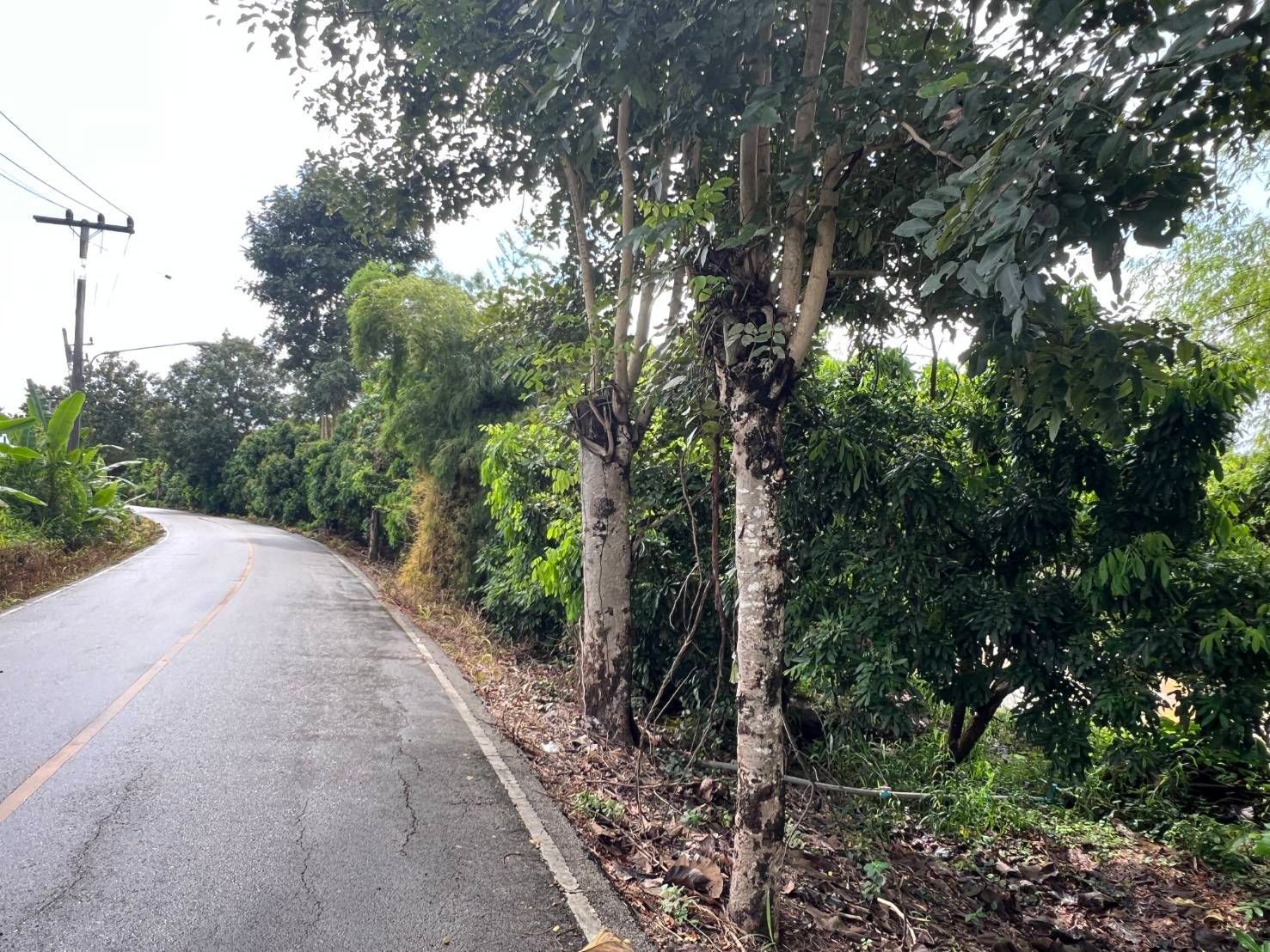  Land For Sale in San Sai, Saraphi, Chiang Mai - Image 9