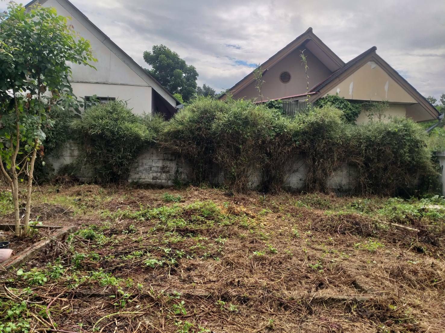 uploads/6fcc1896-9402-4de0-8b07-edfd277d3373/48e23667-1f65-4fcb-8281-e1b97dff5add