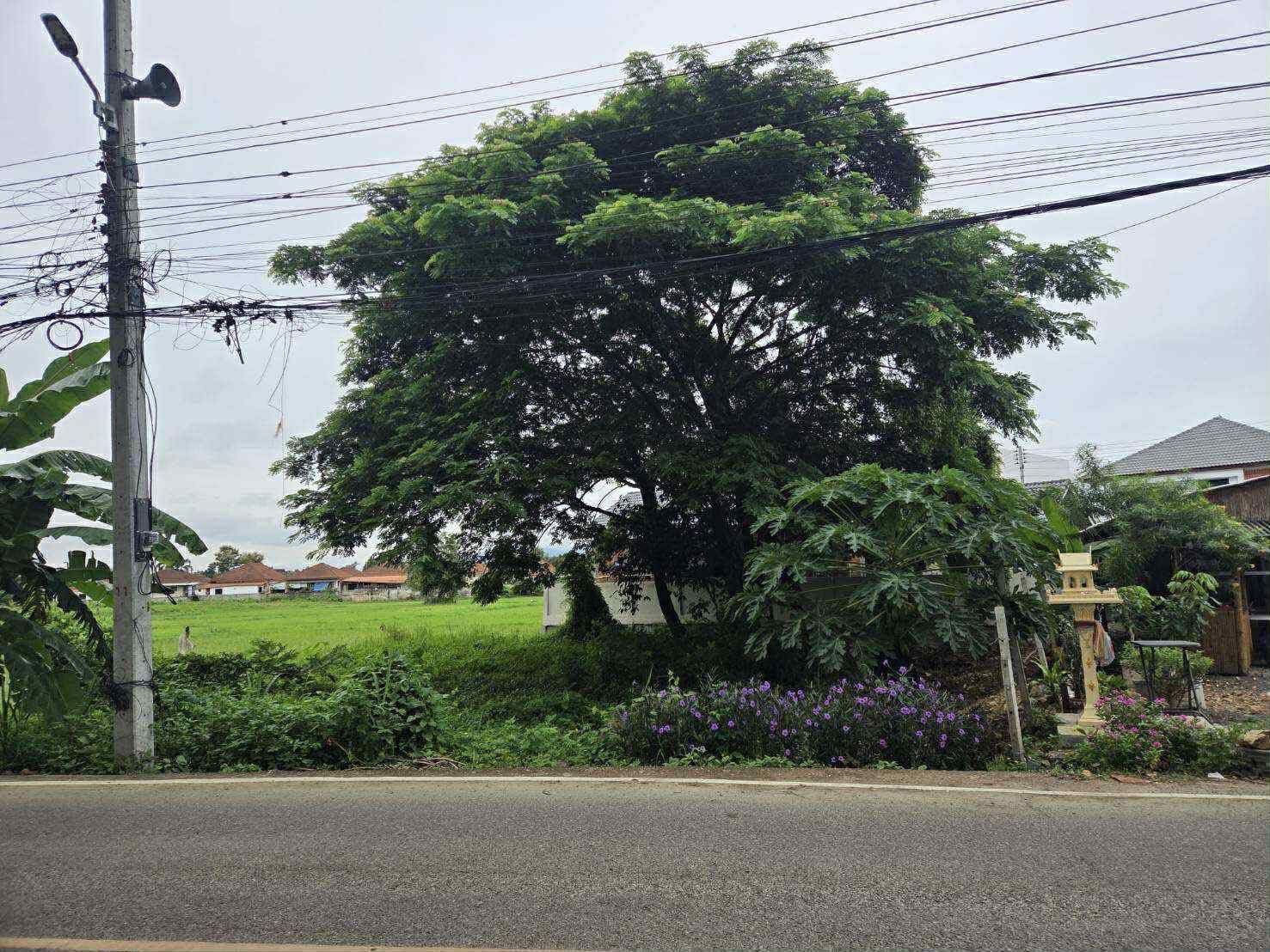 uploads/6fcc1896-9402-4de0-8b07-edfd277d3373/5352b41f-7f33-4693-8cf5-a5424a7bd751