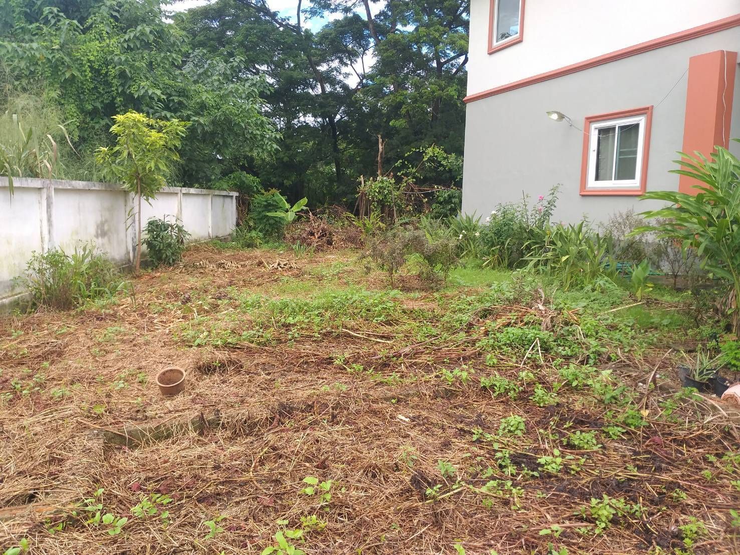 uploads/6fcc1896-9402-4de0-8b07-edfd277d3373/58226353-5158-4e2b-ad09-ed8c73baf2f0