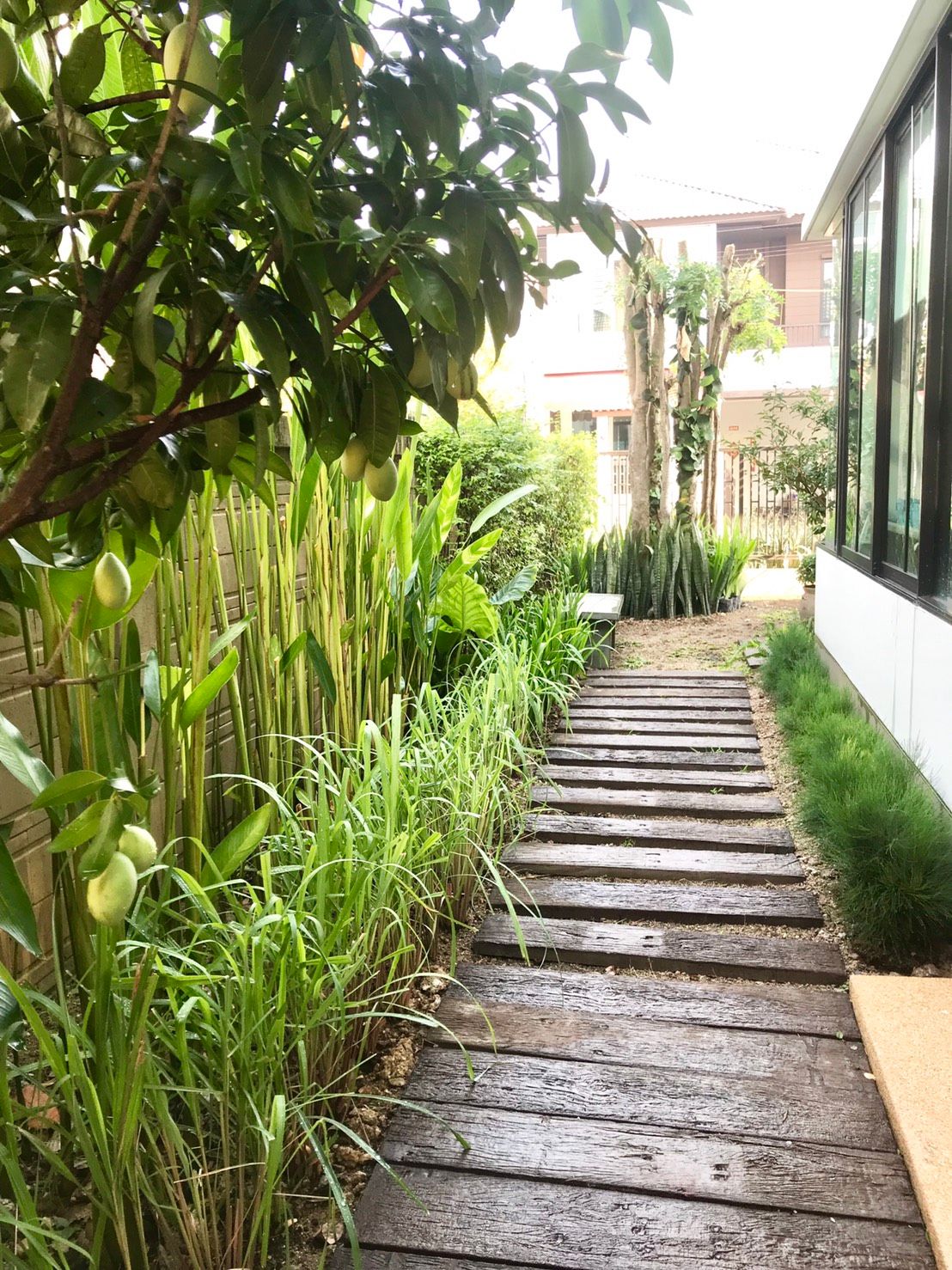 uploads/6fcc1896-9402-4de0-8b07-edfd277d3373/62ea881d-bec7-48c8-ba59-aabbba59fda1