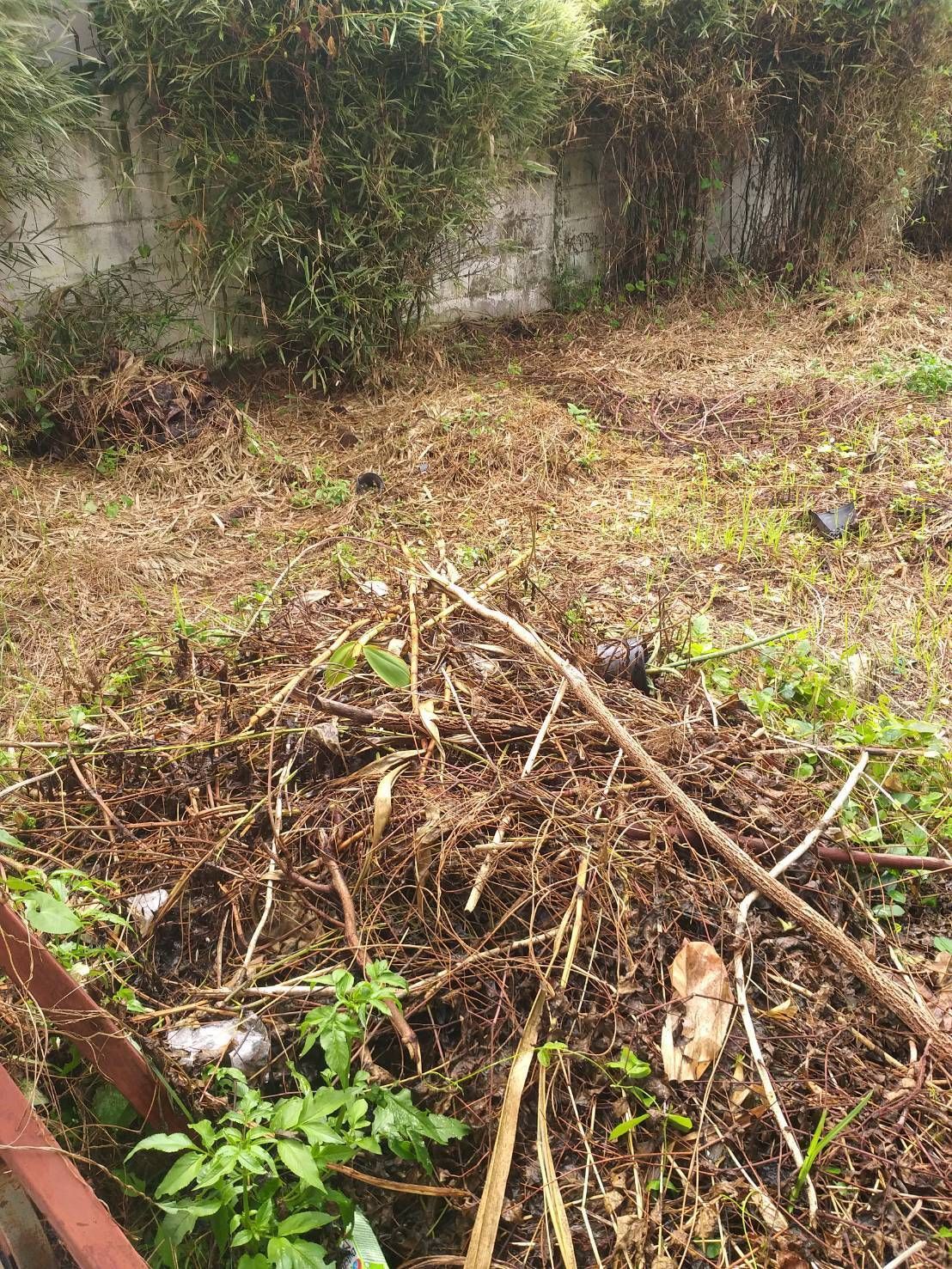 uploads/6fcc1896-9402-4de0-8b07-edfd277d3373/6bebfa2a-6ac6-480e-b666-299d65f9cb92