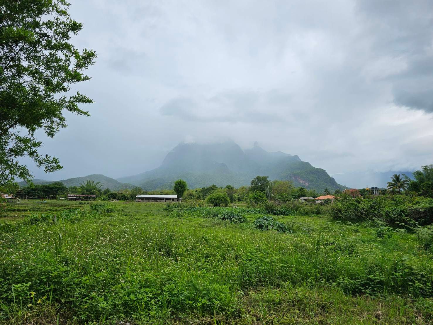  Land For Sale in Chiang Dao, Chiang Dao, Chiang Mai - Image 2