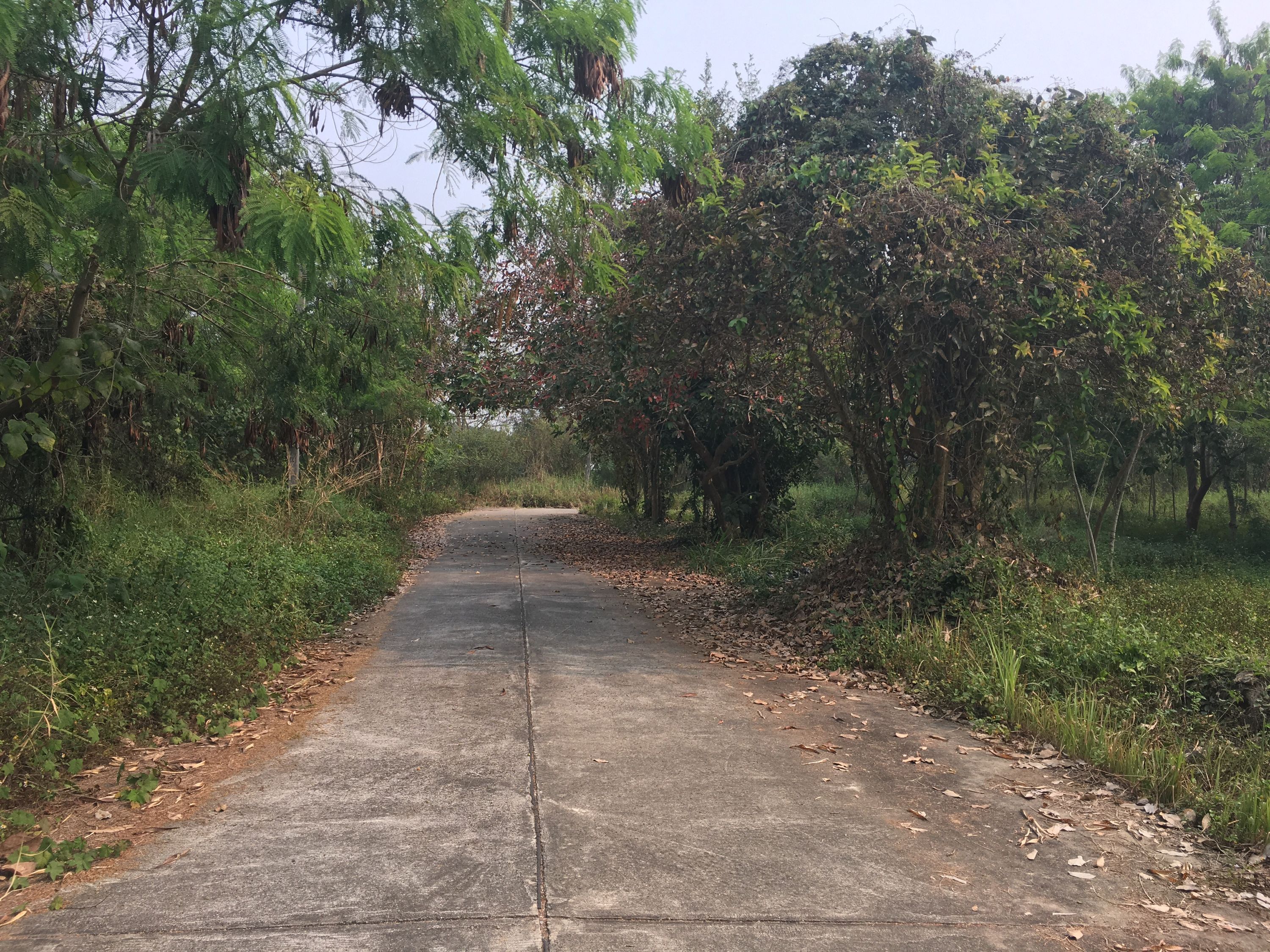 uploads/6fcc1896-9402-4de0-8b07-edfd277d3373/6f9b5493-2363-4a05-8c20-50ba9dab1176