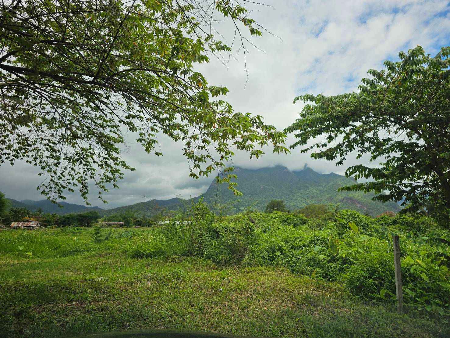  Land For Sale in Chiang Dao, Chiang Dao, Chiang Mai - Image 4