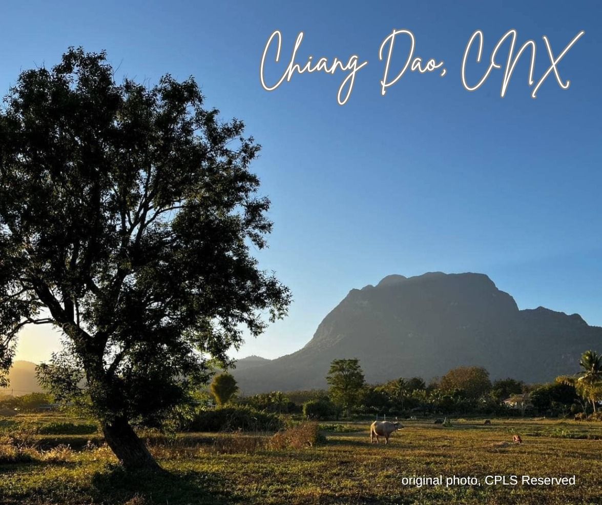  Land For Sale in Chiang Dao, Chiang Dao, Chiang Mai - Image 1