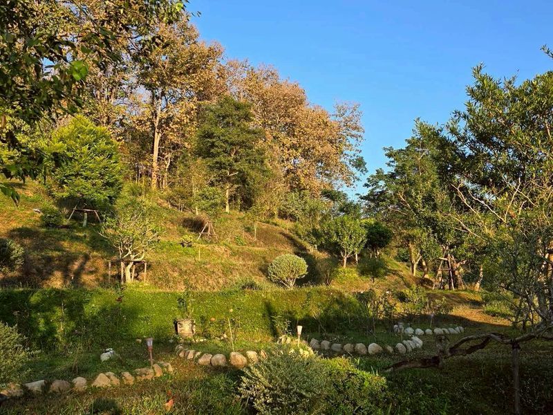 uploads/6fcc1896-9402-4de0-8b07-edfd277d3373/83abdf3a-7a34-4c6c-b570-06218c628dcb