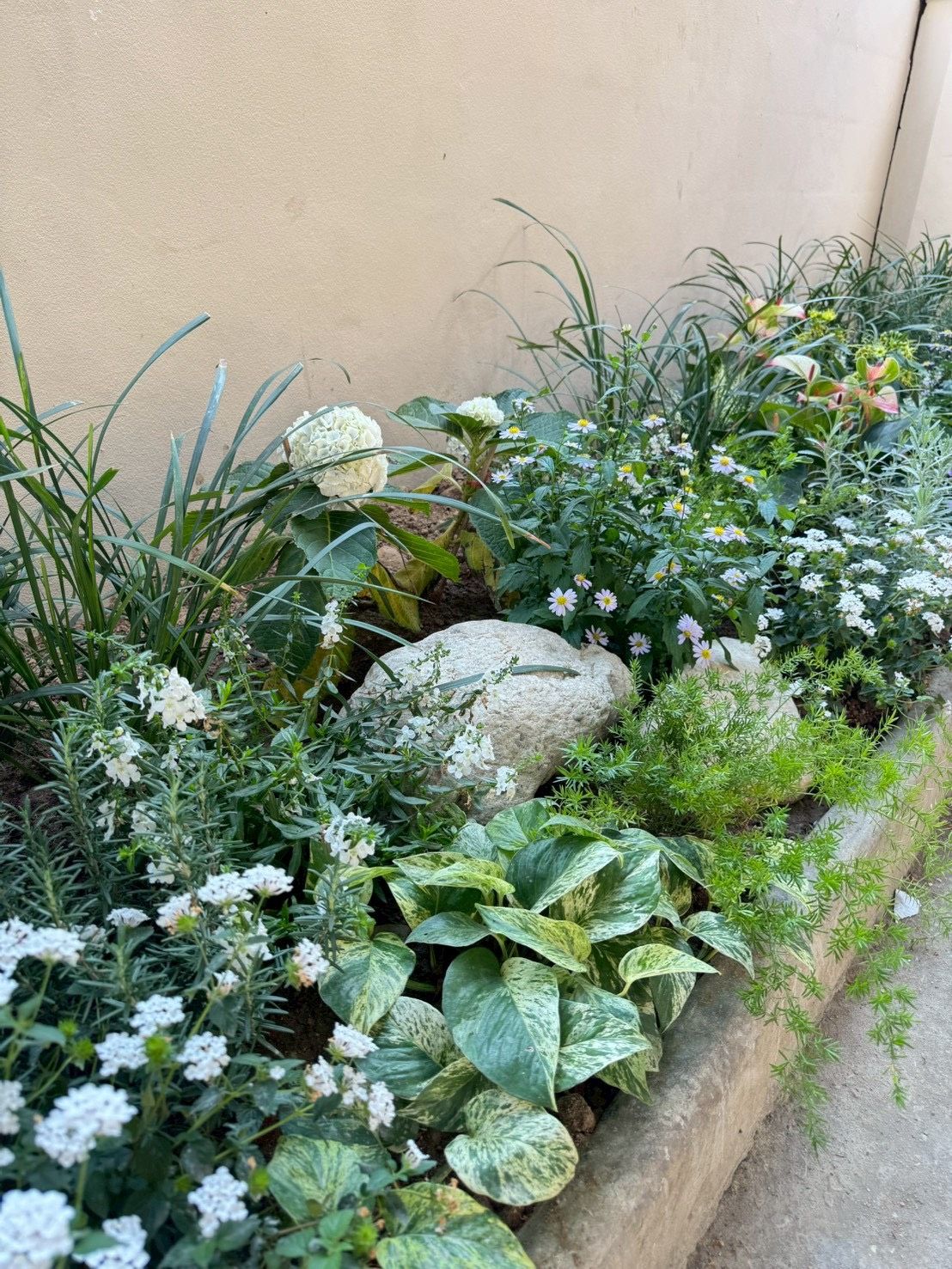 uploads/6fcc1896-9402-4de0-8b07-edfd277d3373/85876676-4438-47d8-b23f-a2d15af1738f