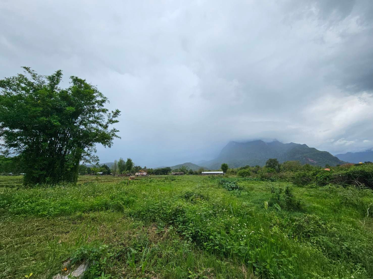  Land For Sale in Chiang Dao, Chiang Dao, Chiang Mai - Image 3