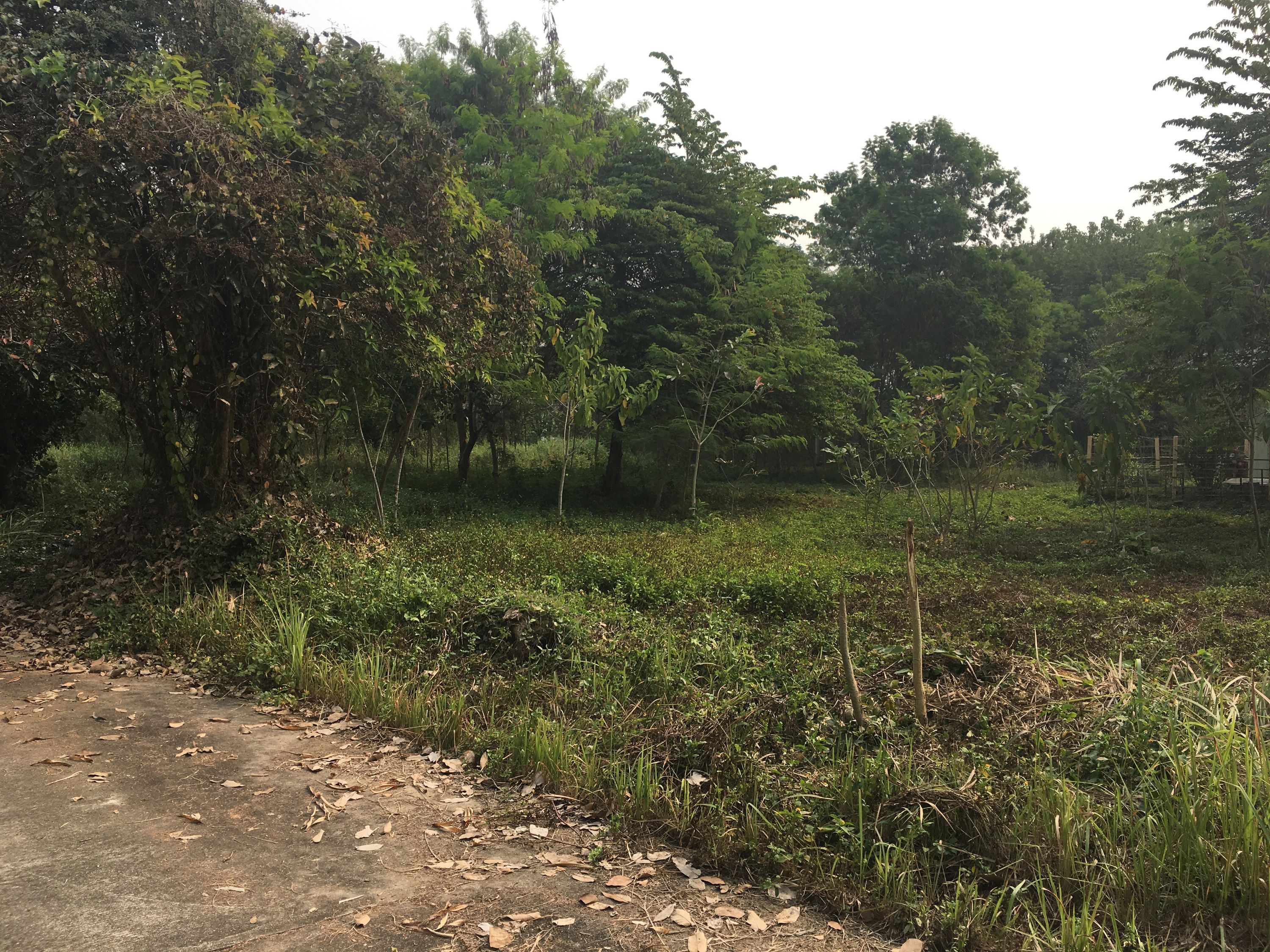 uploads/6fcc1896-9402-4de0-8b07-edfd277d3373/a2f30791-c14f-443c-aa6e-73a6817f4eec