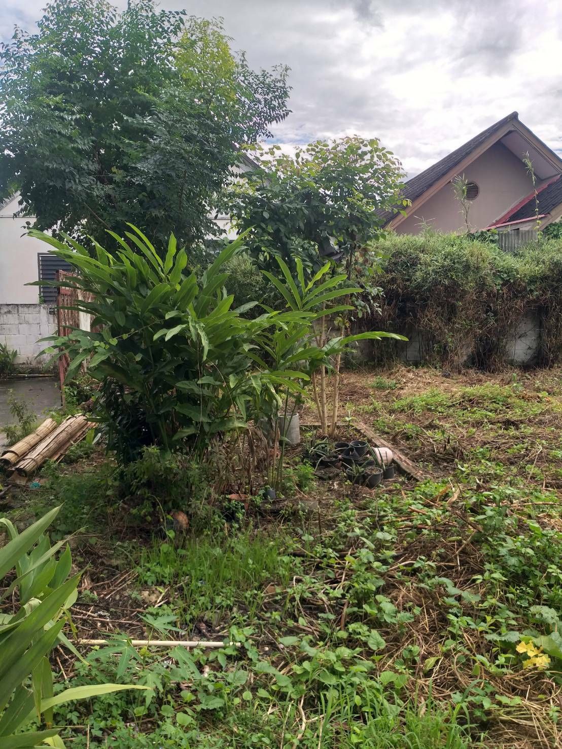 uploads/6fcc1896-9402-4de0-8b07-edfd277d3373/c8cc5c82-78bb-4d33-8657-cf568c657375