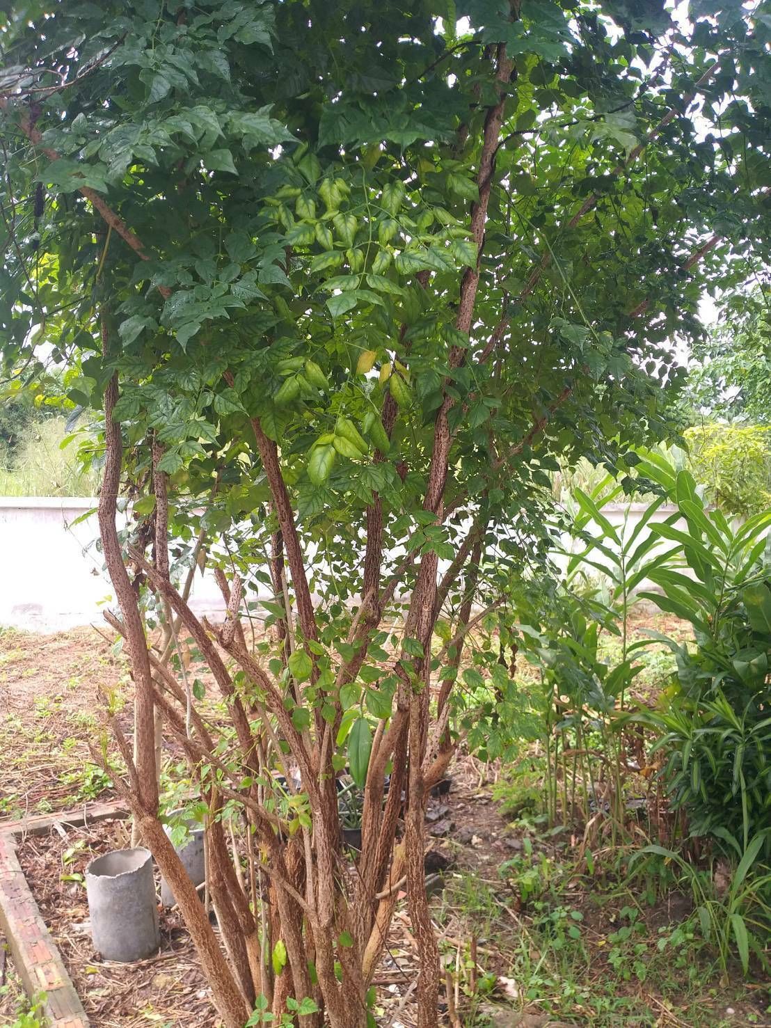 uploads/6fcc1896-9402-4de0-8b07-edfd277d3373/fd4e0fa5-bf5c-4d4c-bd6b-bfd1917e5c95