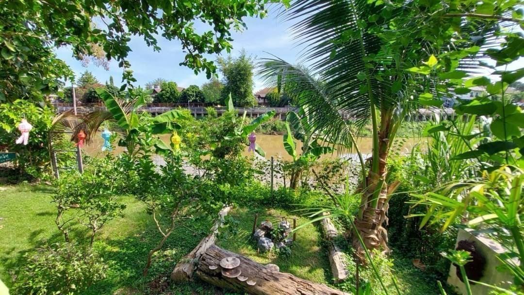 2 ห้องนอน บ้านเดี่ยว สำหรับขาย ใน ป่าแดด, เมืองเชียงใหม่, เชียงใหม่ - Image 16