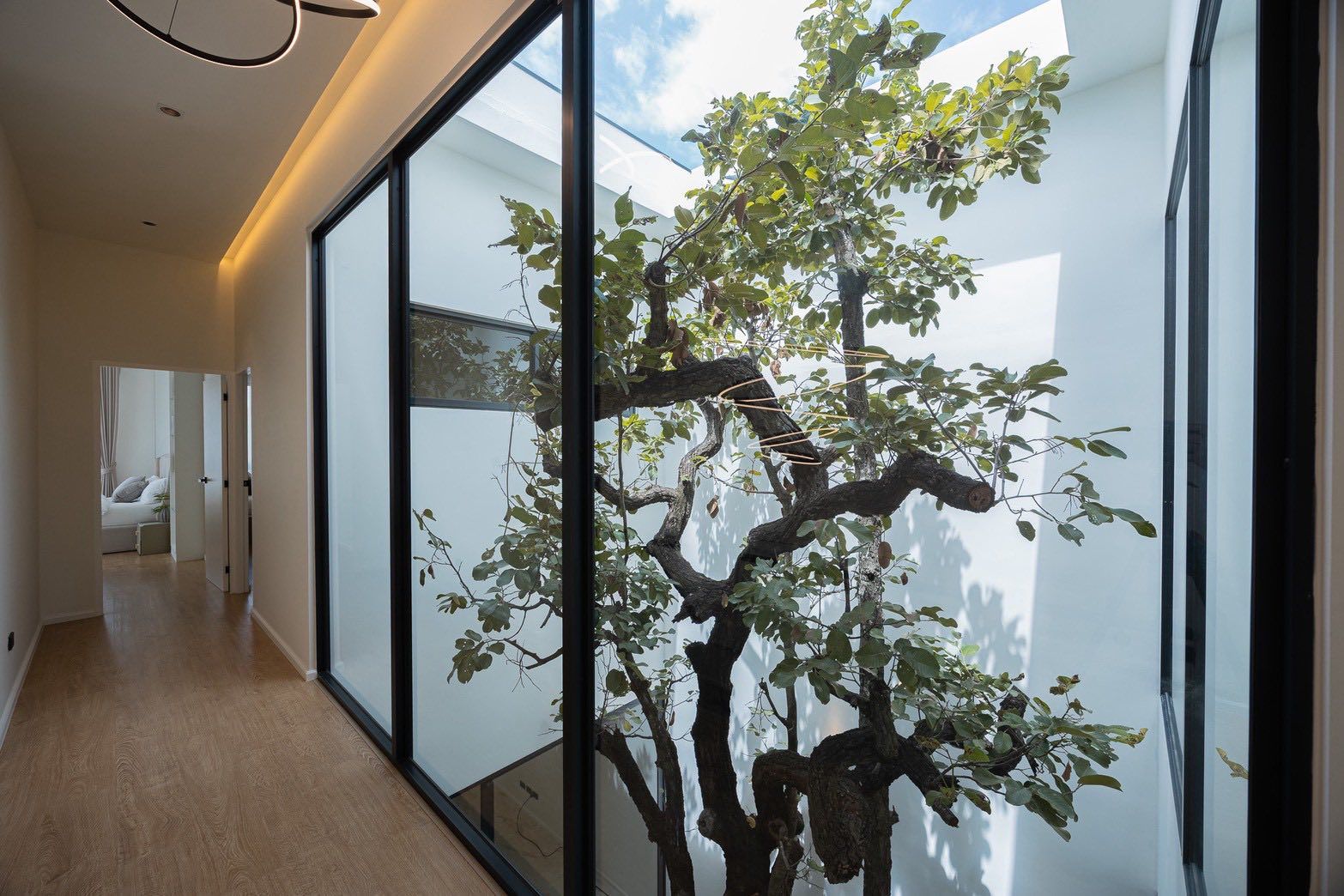 5 卧室 独立房屋 出租 在  - Image 12