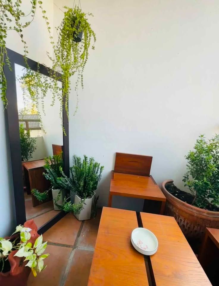 สตูดิโอ คอนโด สำหรับเช่า ใน หนองหอย, เมืองเชียงใหม่, เชียงใหม่ - Image 9