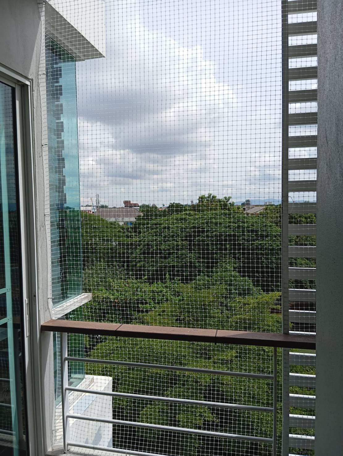 วันพลัส มหิดล - Image 6