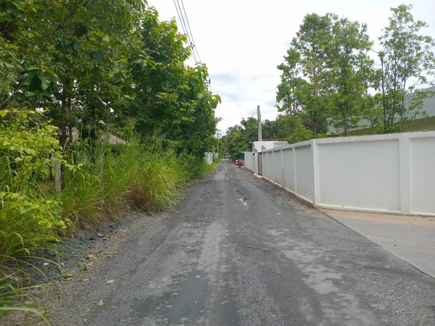  ที่ดิน สำหรับขาย ใน น้ำแพร่, หางดง, เชียงใหม่ - Image 8