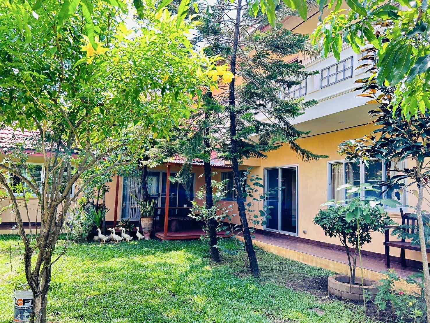 2 ห้องนอน บ้านเดี่ยว สำหรับเช่า ใน หางดง, หางดง, เชียงใหม่ - Image 1