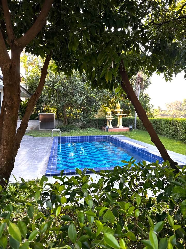 uploads/efe1bc97-da39-4732-9026-bc1cbf882b7a/267ab099-fa04-4f16-9ea4-a5e6ed2f24b2