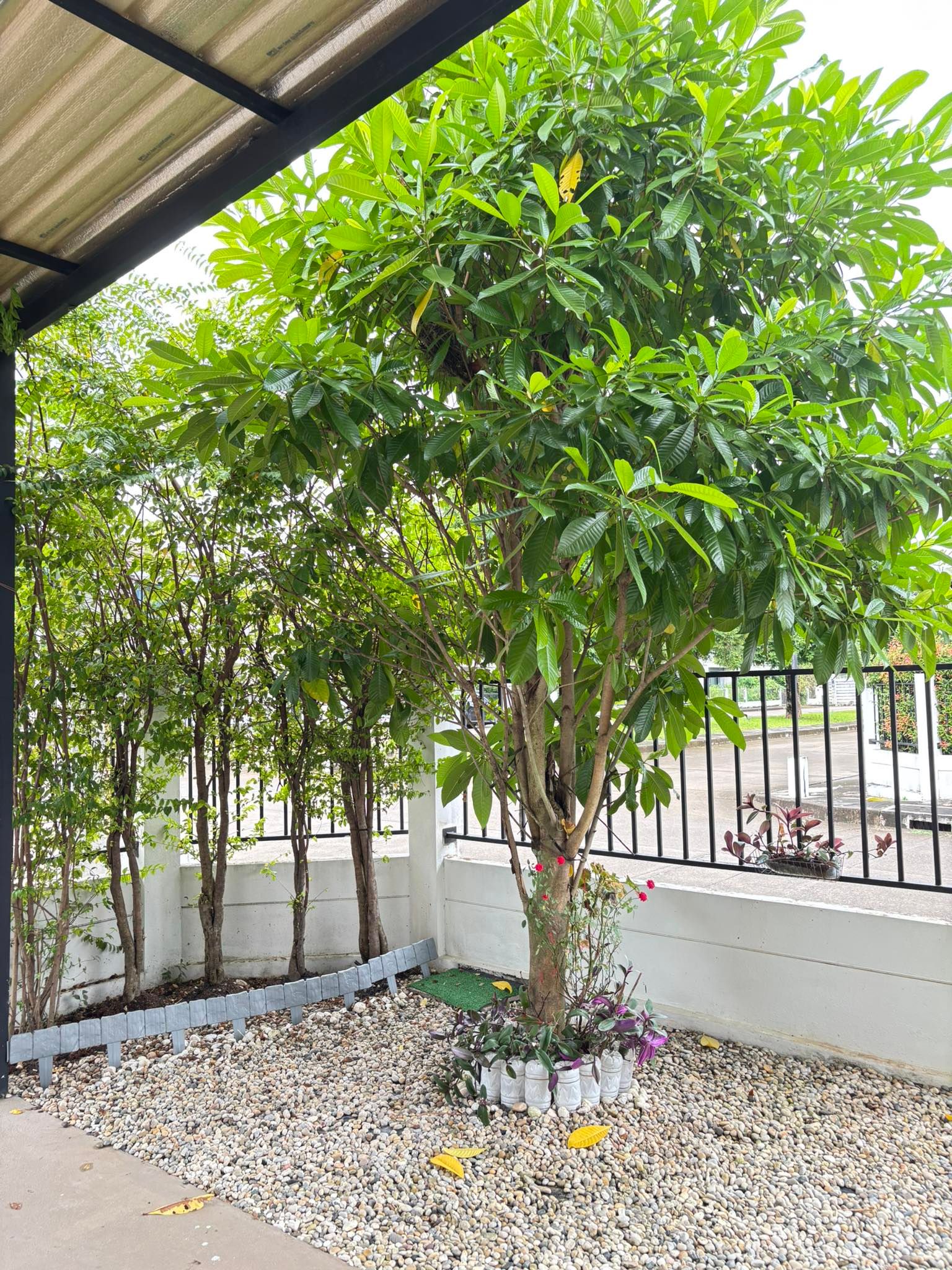 uploads/efe1bc97-da39-4732-9026-bc1cbf882b7a/2f4e473b-12a4-401c-9908-7d66f62f3749