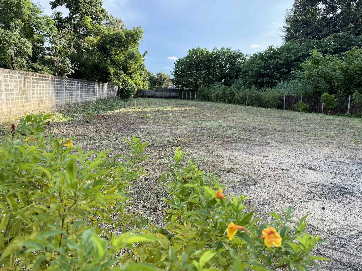 3 卧室 独立房屋 出租 在  - Image 15