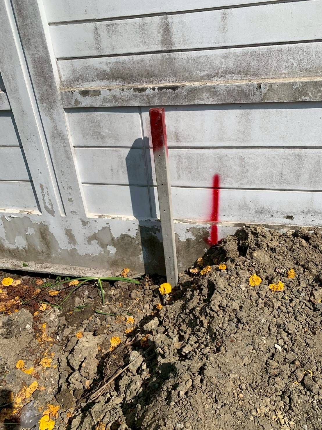  土地 出租 在  - Image 6