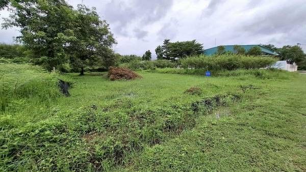  Land For Sale in Nong Khwai, Hang Dong, Chiang Mai - Image 2