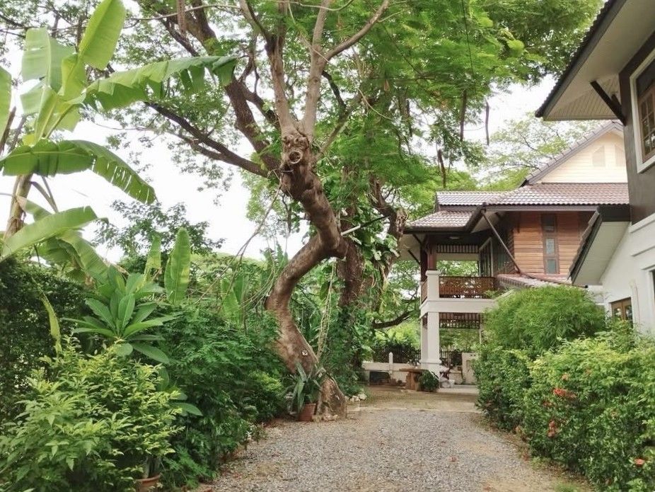 uploads/efe1bc97-da39-4732-9026-bc1cbf882b7a/5dffe862-7053-4ab2-8ace-3fb9f90dbace