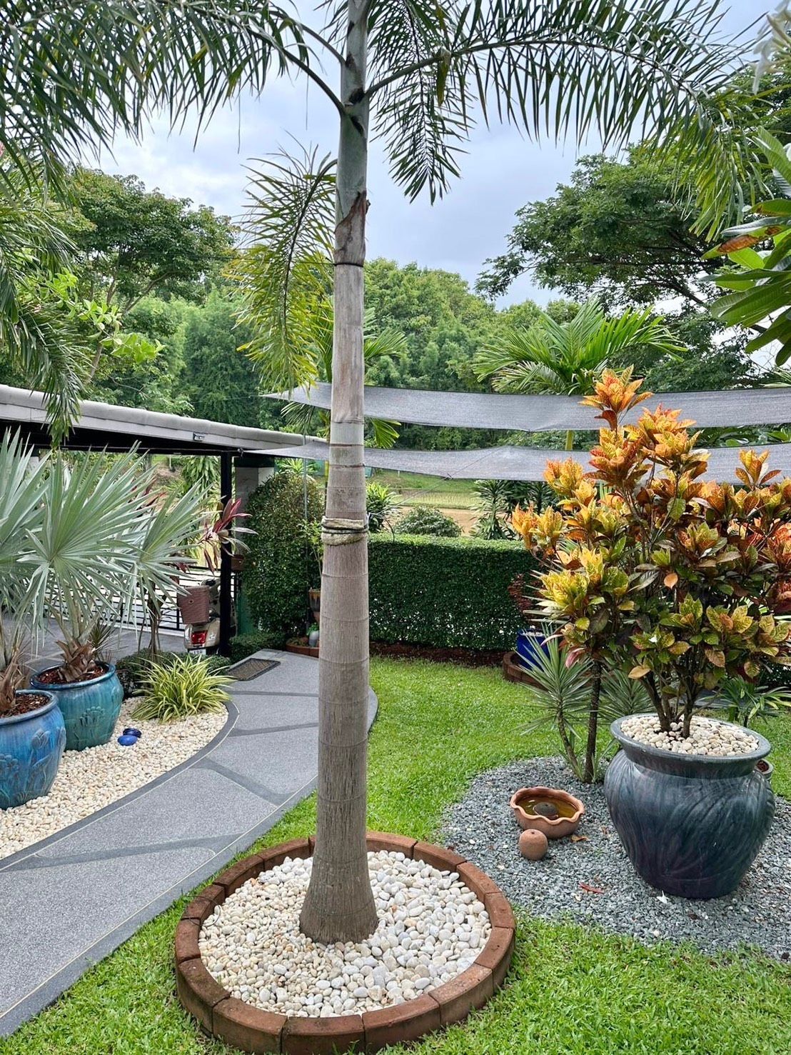 2 卧室 独立房屋 出售 在  - Image 19