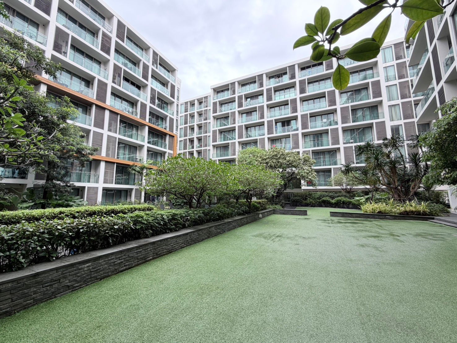 The Nimmana - Image 14