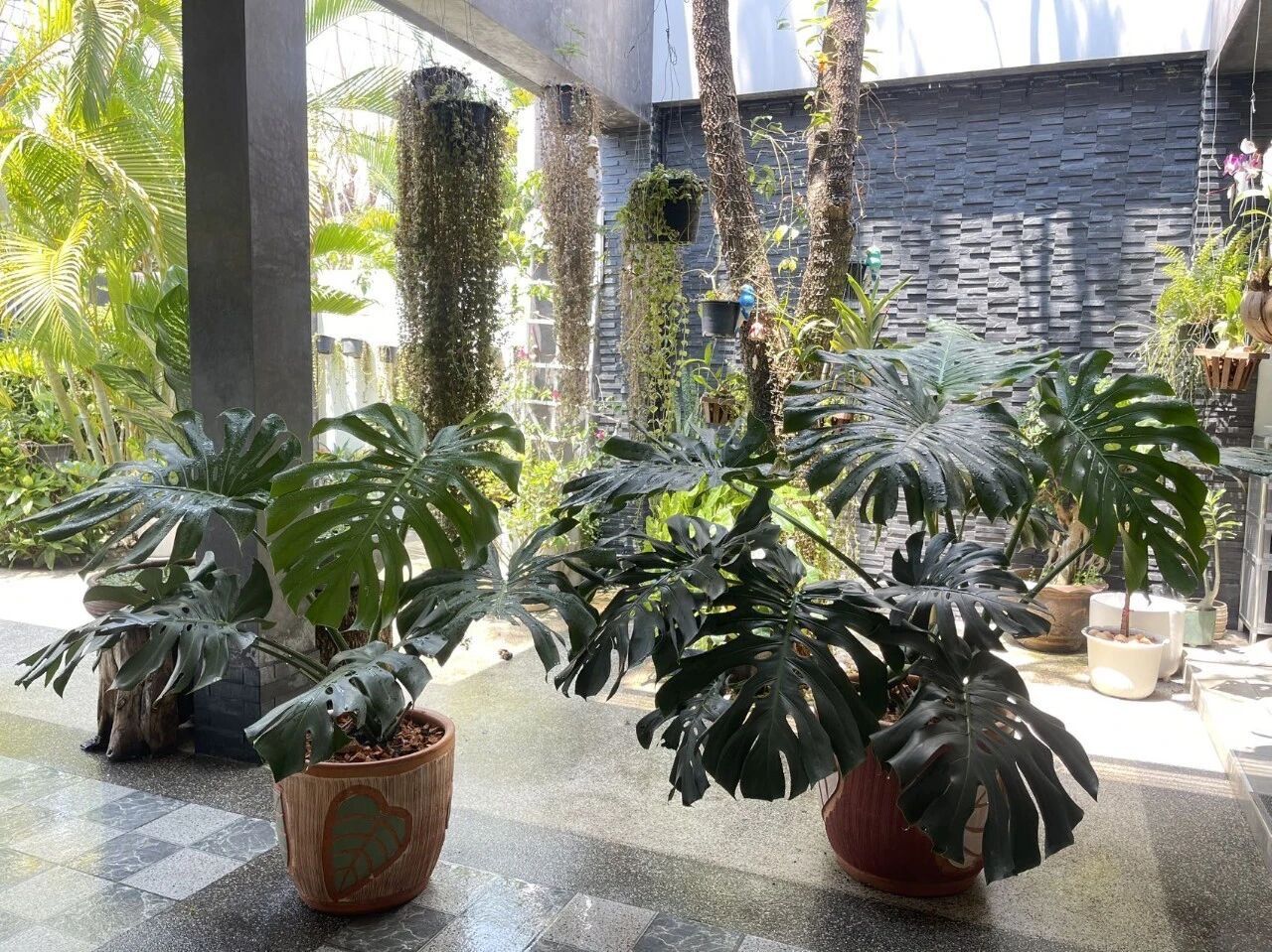 uploads/efe1bc97-da39-4732-9026-bc1cbf882b7a/86bf6347-eff5-4633-9463-0ec5657e1e7c