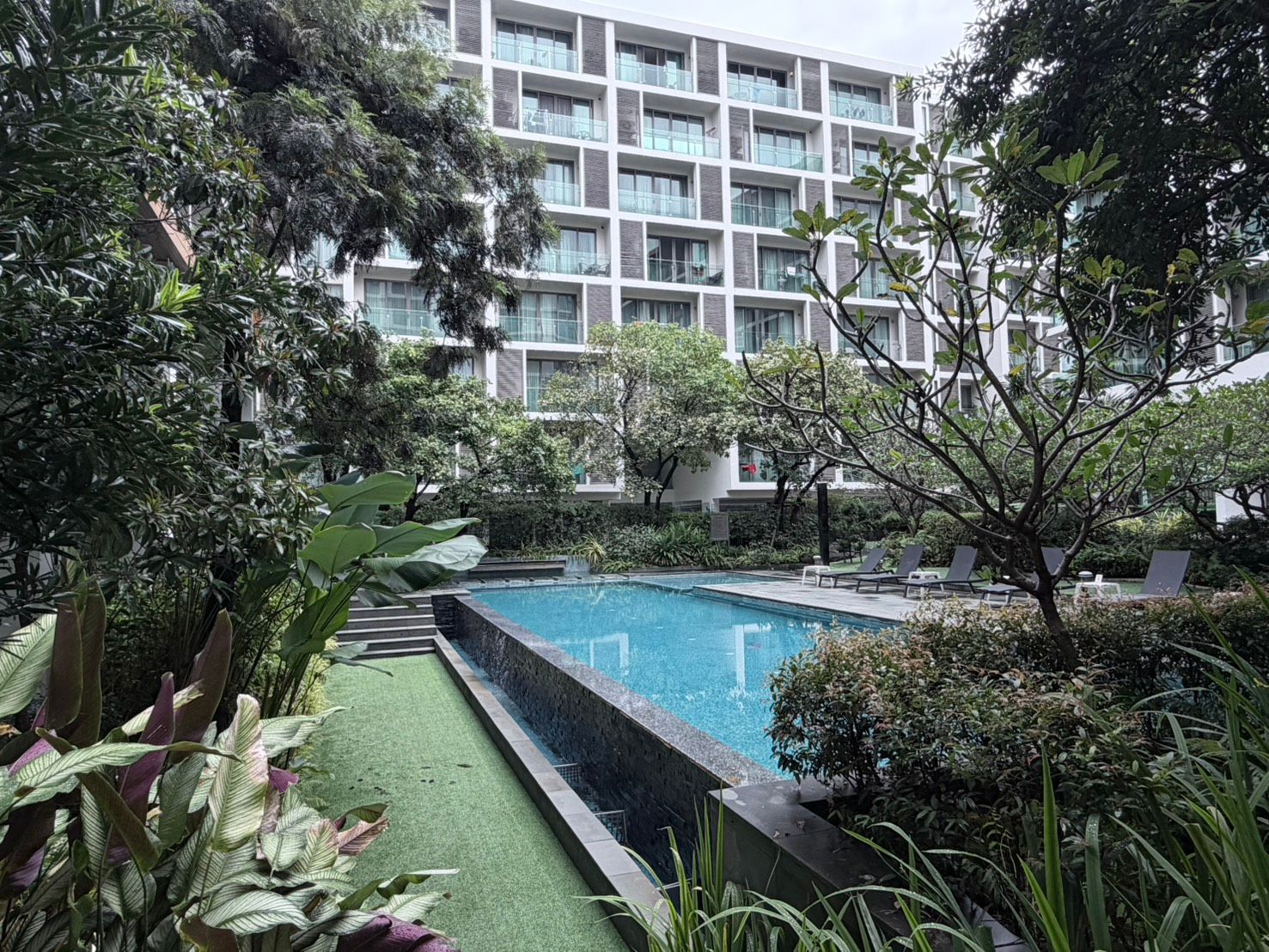 The Nimmana - Image 13