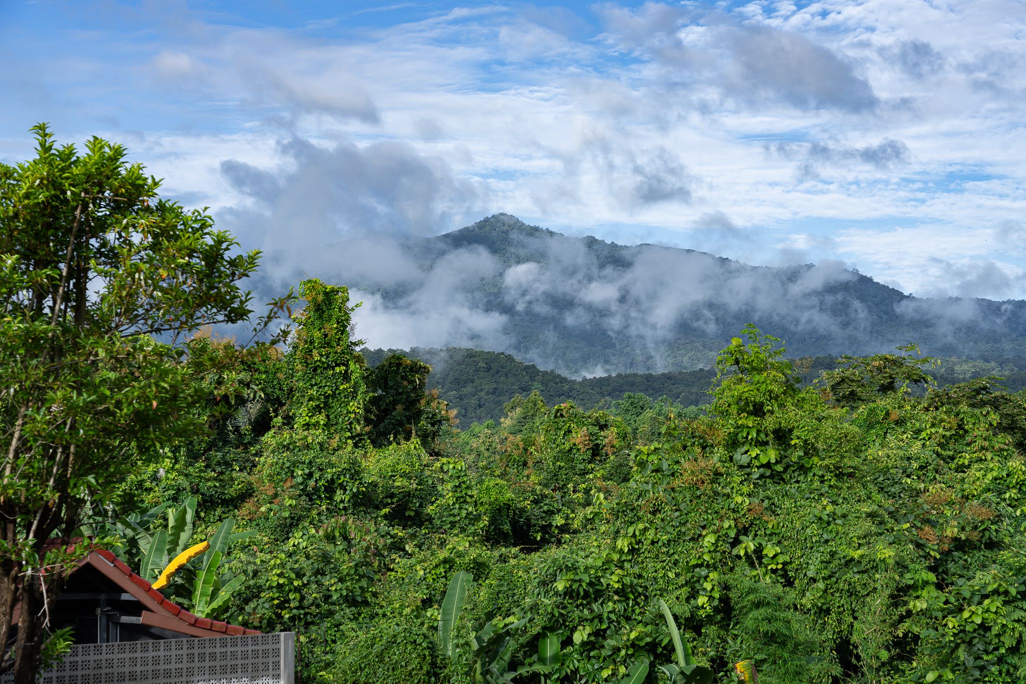 uploads/efe1bc97-da39-4732-9026-bc1cbf882b7a/98be84ab-8ba2-40d5-bd66-91cbcf642cf4