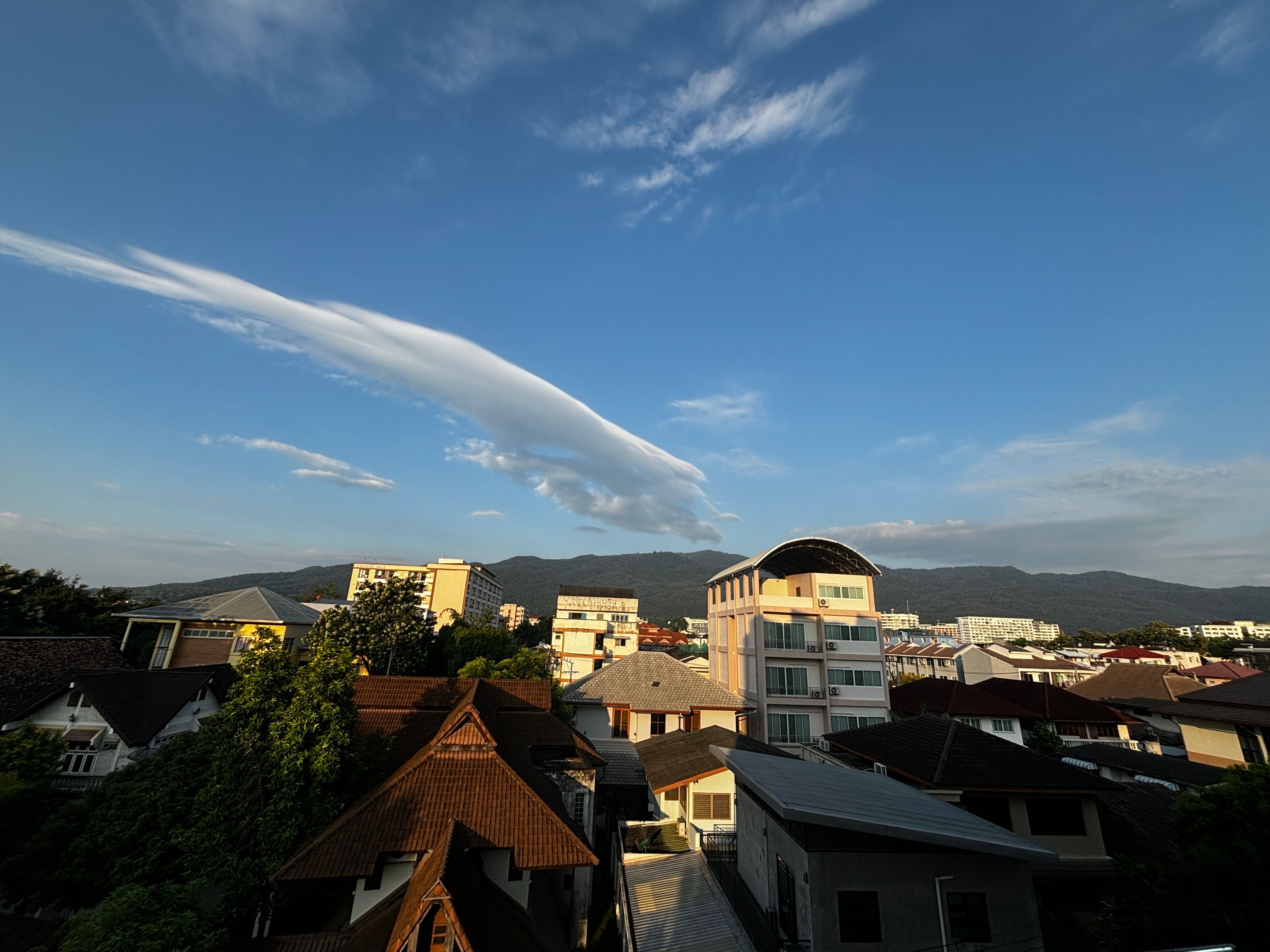 ลีฟ แอท นิมมาน - Image 11