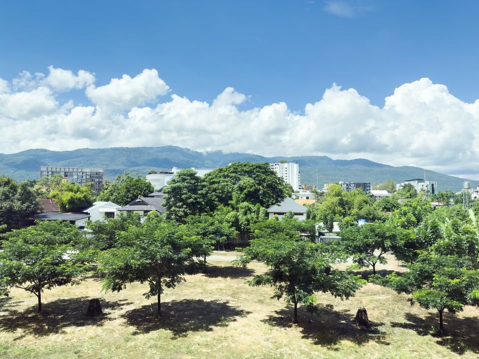 Hillside 4 Condotel - Image 3