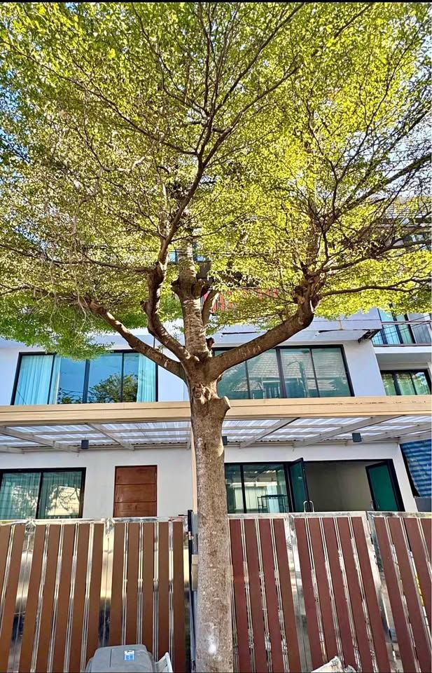 Areeya Mandarina Sukhumvit 77 - Image 1