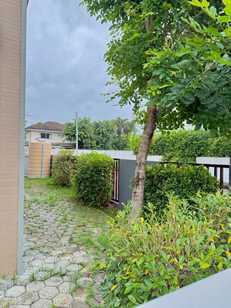 3 ห้องนอน บ้านเดี่ยว สำหรับเช่า ใน หนองหาร, สันทราย, เชียงใหม่ - Image 15