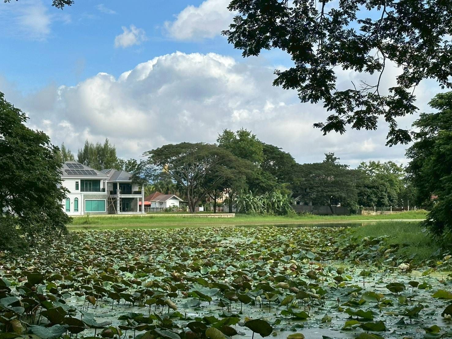 2 Bedroom House For Sale in Tha Wang Tan, Saraphi, Chiang Mai - Image 16